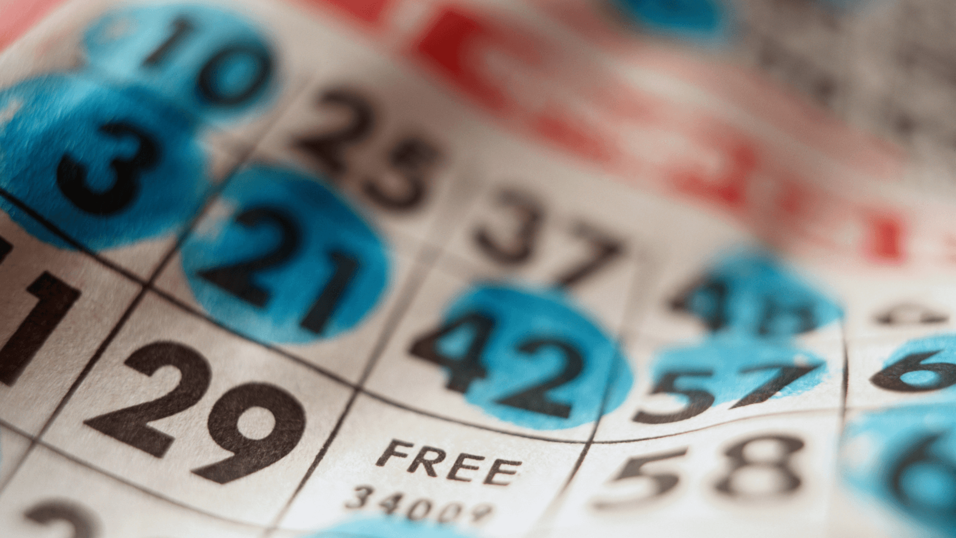 オンラインビンゴカードと通話に関するすべて image